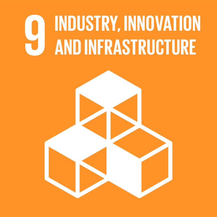 SDG9